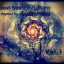 Synteteka - Goa Trance Culture vol. 1 ()