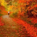 Kazimour - Emotion Flash (Autumn BREAK-2012)