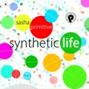 Sasha Primitive - Little Foggy