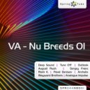 Deep Sound - Sunbeam (Original Mix)