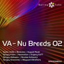 Sergey Sivenenko - N A T (Original Mix)