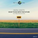 Digital Cassette - What to Do With the Future