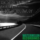 Igor Garnier - Take You Away