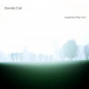 Davide Cali - Flat And Low (Original mix)