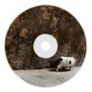 Edgar Morris - Mud (Original Mix)