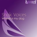 Snok Voices & Alex Kuz'min - Feel Good