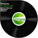 Polyvox - Mincer