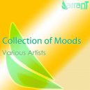 Aesthetic Minds - Prophase (Original Mix)