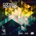 Drop & Anonymous - Can You See Me (Original Mix)