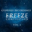 Dj IGorFrost - Trendy Sound (Original Mix)