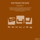 Pavel Svetlove - Dolphin\'S Song (Air-Lines Remix)