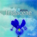 abSlm - InfinitySky (Original Mix)
