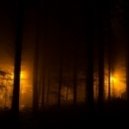 Yuriy Pilin - Night wood