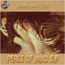 Dark Matter & Sam Bassline - Need You (Original mix)