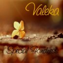 VALEKA - Special Fondness (The Liquid DnB Mix)