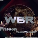 Frisson - Destroy Minimal (Question Sound Rmx)