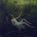 Christian Gainer - Forest Cover Vol.5 ()