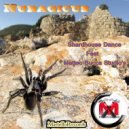 Shardhouse Dance - Nuragicus (ft. Matteo Bucca Studio\'s) (Original mix)