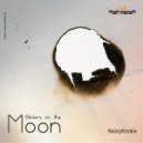 NoizyKnobs - Purple Truth (Original mix)