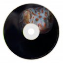 Blow Of Luck - Milksugar (Original mix)