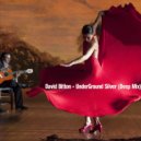 David Biton - UnderGround Silver