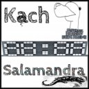 Kach - AntiDot