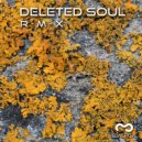 TNS/DR ROMAN - DanceHall Ram (Deleted Soul Remix)