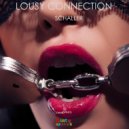 Schaller - Lousy Connection