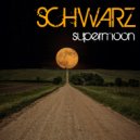 Schwarz - The Mechanic (Original Mix)