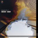 Z.O.L.T. - Smart Dust