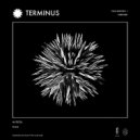 Scam. - Terraforming (Original mix)