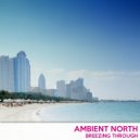 Ambient North - Soap Suds