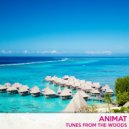 Animat - Throwing Shapes
