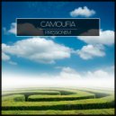 Camoufia - Void