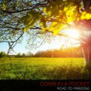Comb In A Pocket - Through The Gates Of Perception