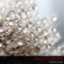 Peace Flowers - Your Mind (Original Mix)