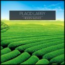 Placid Larry - A Long Way
