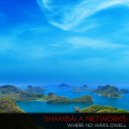 Shambala Networks - Wave Patterns