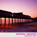 Natural Grooves - Loving (Original Mix)