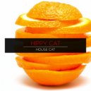 Hippy Cat - Superior Model (Original Mix)