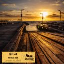 Gate 44 - Natural High (Original Mix)