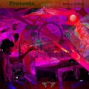 Protonix - Shiva Valley