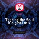 NIRI - Tearing the Soul (Original mix)