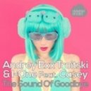 Andrey Exx, Troitski & I-One Feat. Casey - The Sound Of Goodbye (Natema Remix)