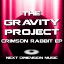 The Gravity Project - Silver Spoons (Original Mix)