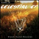 Charly Jr - FYC (Original Mix)