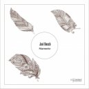 Javi Bosch, Dj Noldar - Marmoto (Dj Noldar Remix)