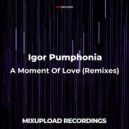 Igor Pumphonia feat. Vadim Danilenko - A Moment Of Love (Guitar Version)
