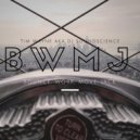 Tim Wayne aka DJ SoundScience - BWMJ (Original Mix)
