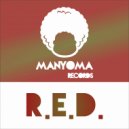 R.e.d. - Flashin\' Lights (Original Mix)